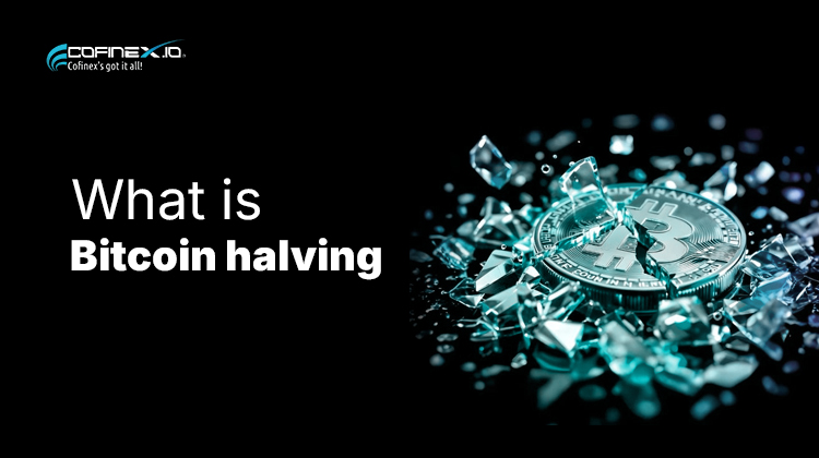 What is Bitcoin Halving? How it works and why it matters