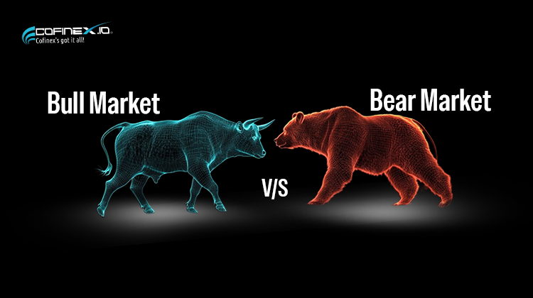 What is a Crypto Bull Market and Bear Market?