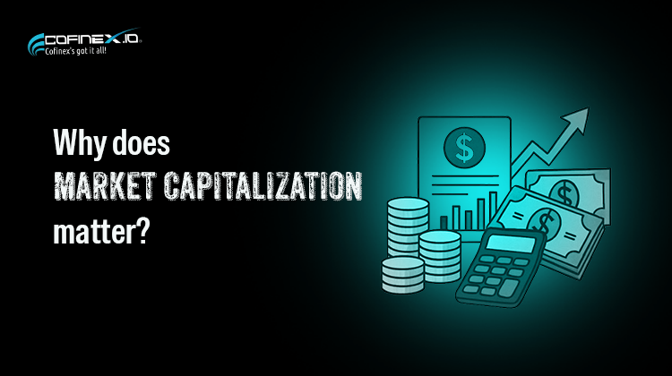 What is Market Capitalization and Why does it matter?